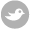 ZirMed_Twitter